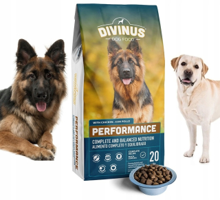 Kuracie suché krmivo Divinus 20 kg